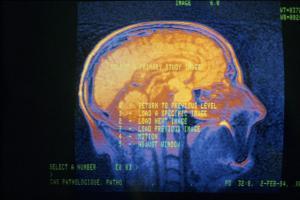 Apprendre les technologies 2.0