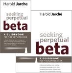 seeking-perpetual-beta