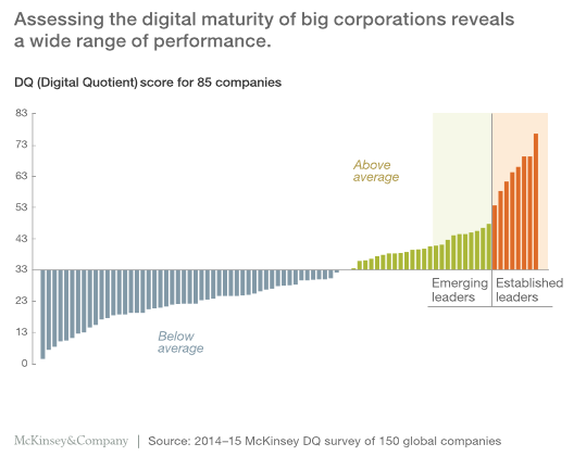 Assessing Digital Quotient