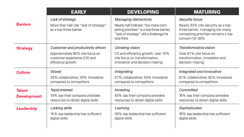 Détail analyse maturité numérique
